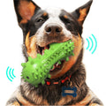 Dog chewing the green toothbrush chew toy