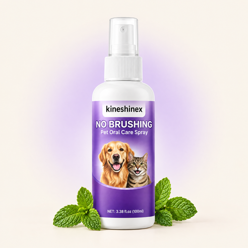 DentaPaw No-Brush Dental Spray bottle, 100ml
